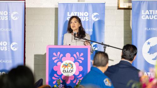 2024 Latino Spirit Award Honoree Dr. Diana E. Ramos MD, MPH, MBA
