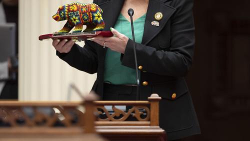 Latino Caucus Chair, Senate Majority Leader Lena Gonzalez