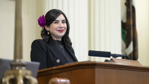 Asm. Celeste Rodriguez presiding over session