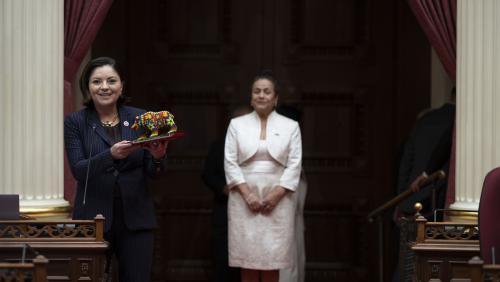 Lupe Gallegos-Diaz (Achievement in Higher Education Honoree)