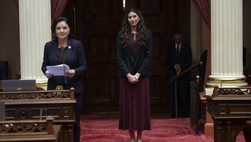 Tamara Romo Gisiger (Achievement in Advocacy Honoree)