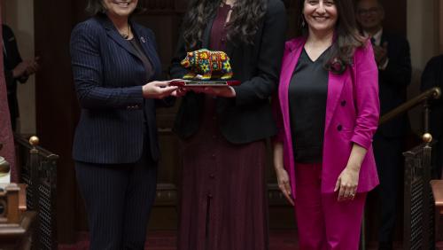 Tamara Romo Gisiger (Achievement in Advocacy Honoree)