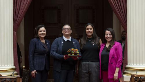 People’s Collective for Environmental Justice (Achievement in Environmental Justice Honoree)